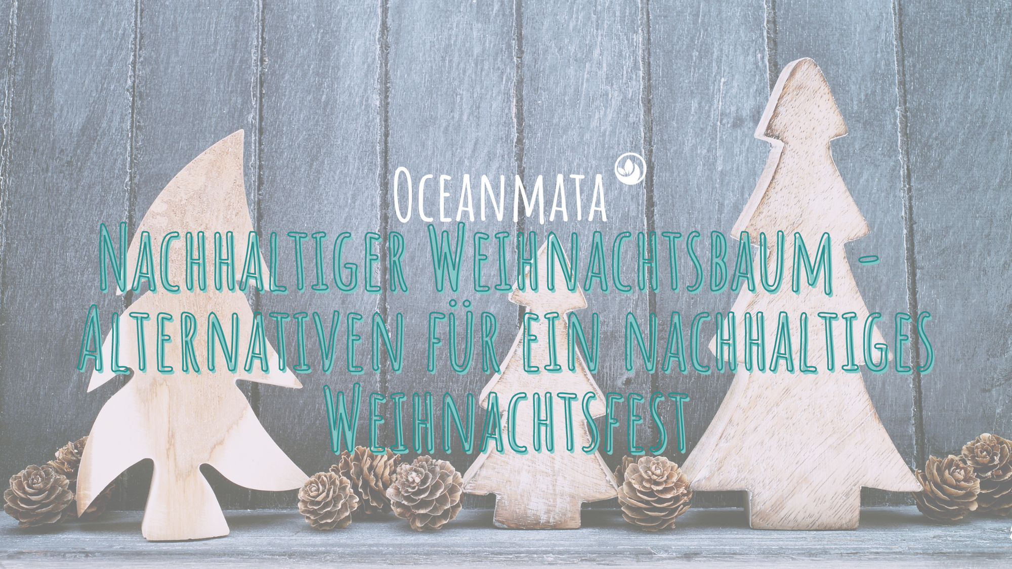 Nachhaltiger Weihnachtsbaum - Alternativen für ein nachhaltiges Weihnachtsfest