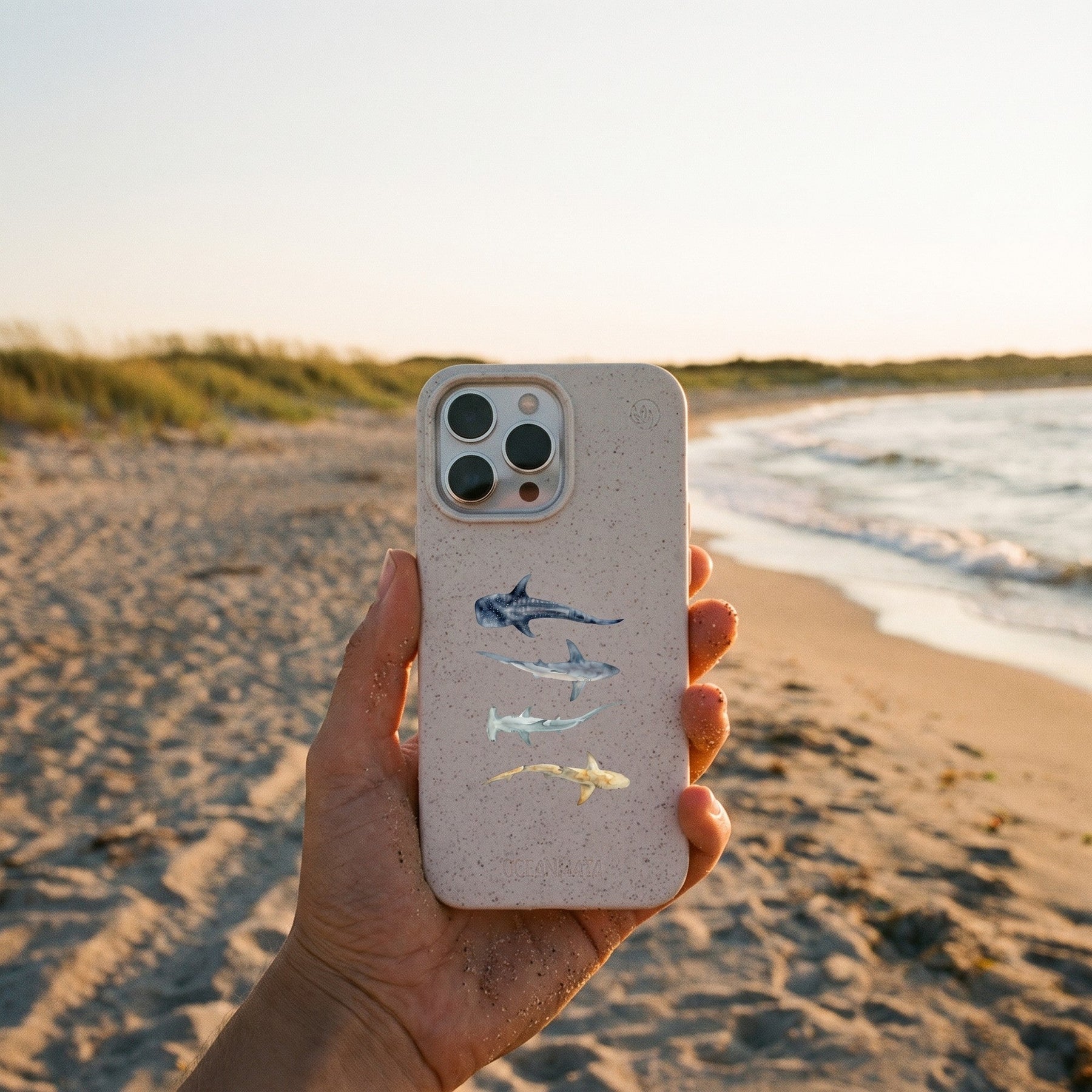 Biologisch abbaubare Handyhülle iPhone 14 pro Sharkproject — kompostierbar — in der Hand