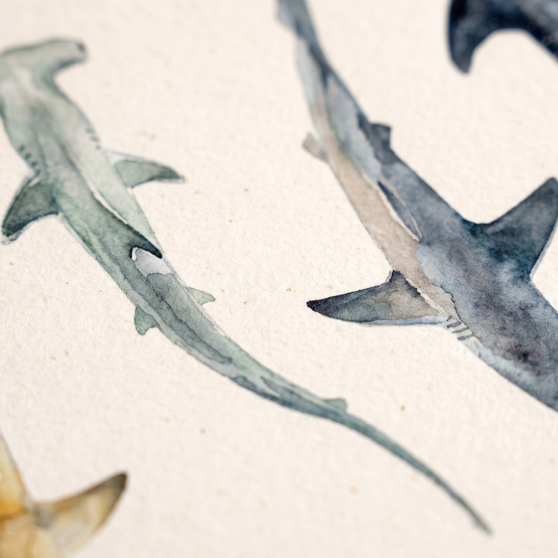 Biologisch abbaubare Handyhülle iPhone 17 Air Sharkproject — kompostierbar — Detailaufnahme Druck