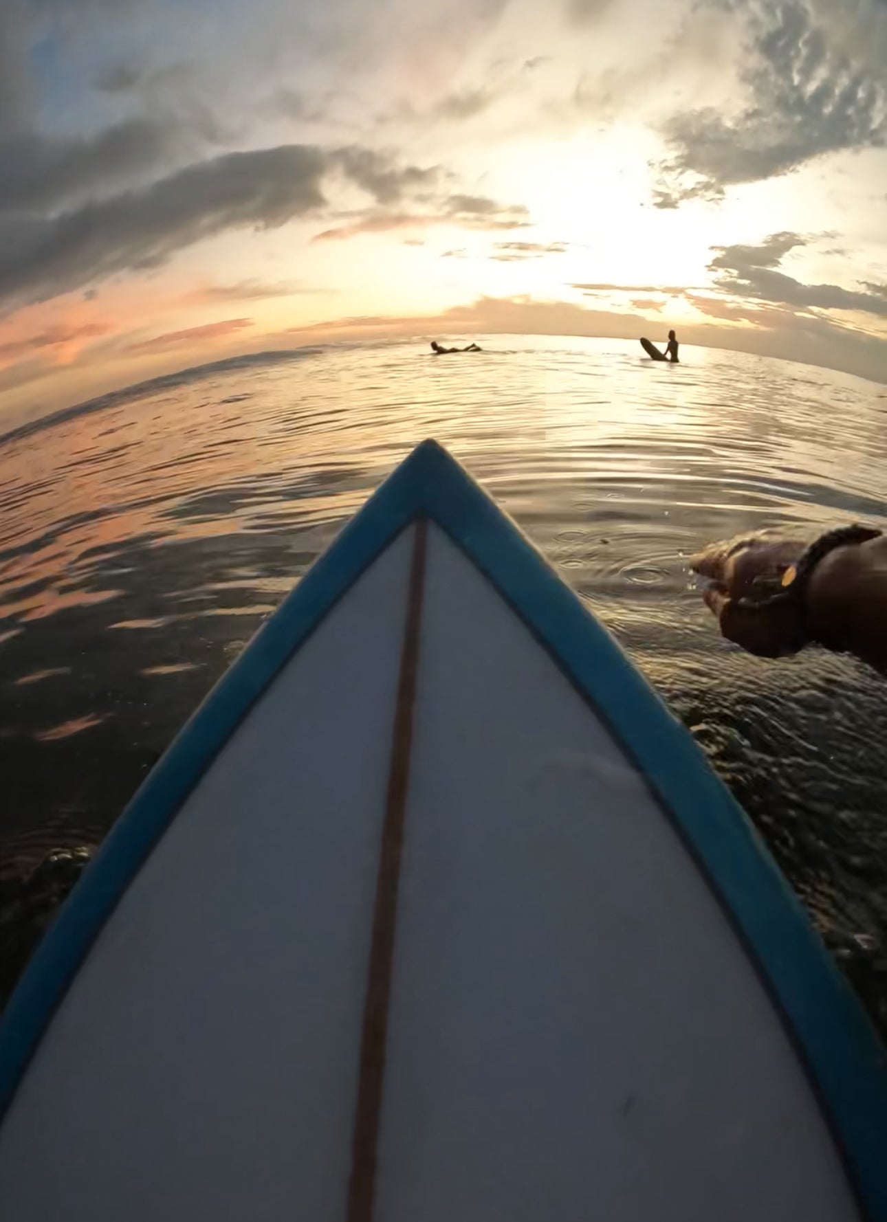 Handyhüllen Surf Edition