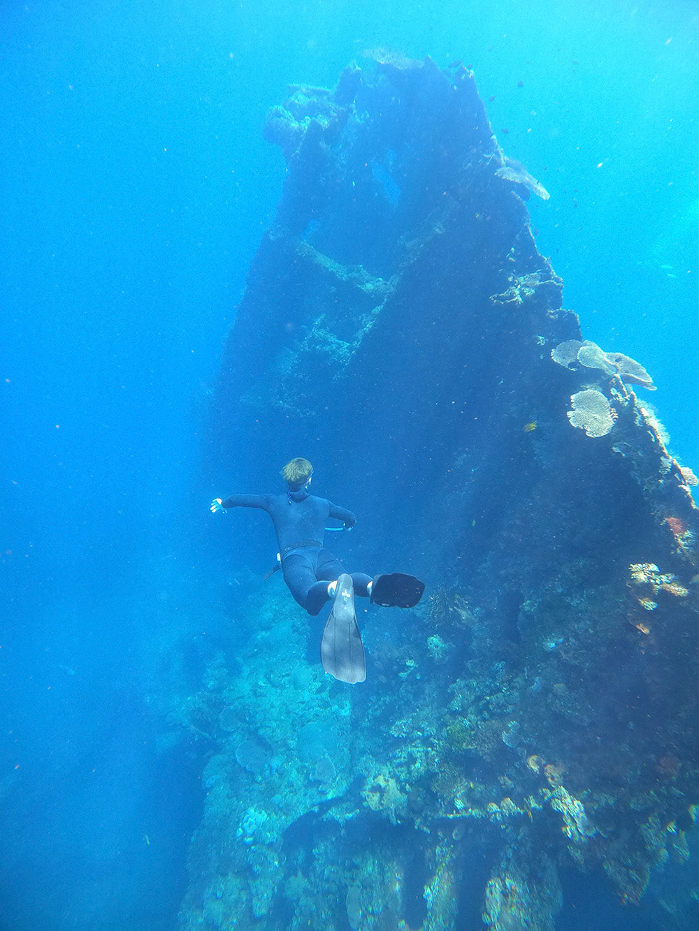 Freediving