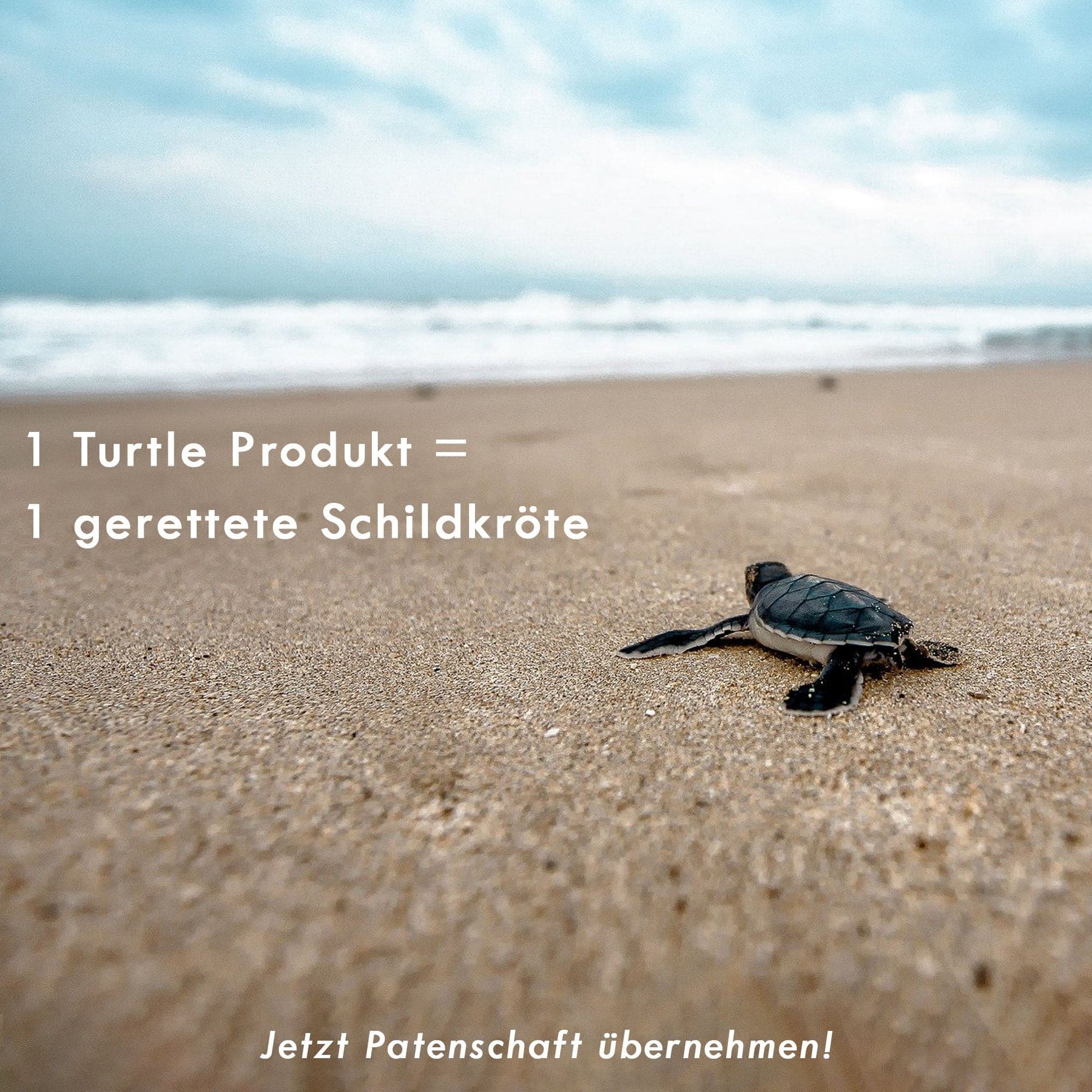 iPhone 17 air Hülle - grün - "TURTLE" - nachhaltig
