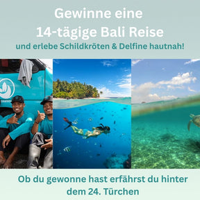 Schmuck Adventskalender - "Schildkrötennest" - Edelstahl/Messing