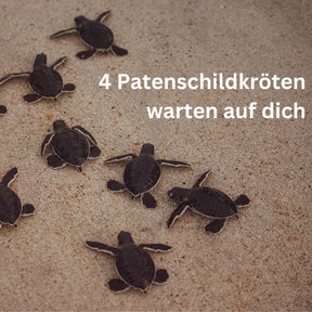 Schmuck Adventskalender - "Schildkrötennest" - Edelstahl/Messing