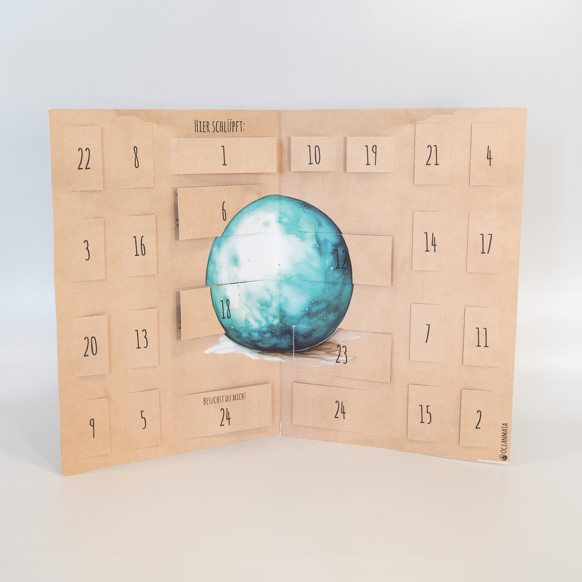 Adventskalender 2025 Turtle Patenschaften