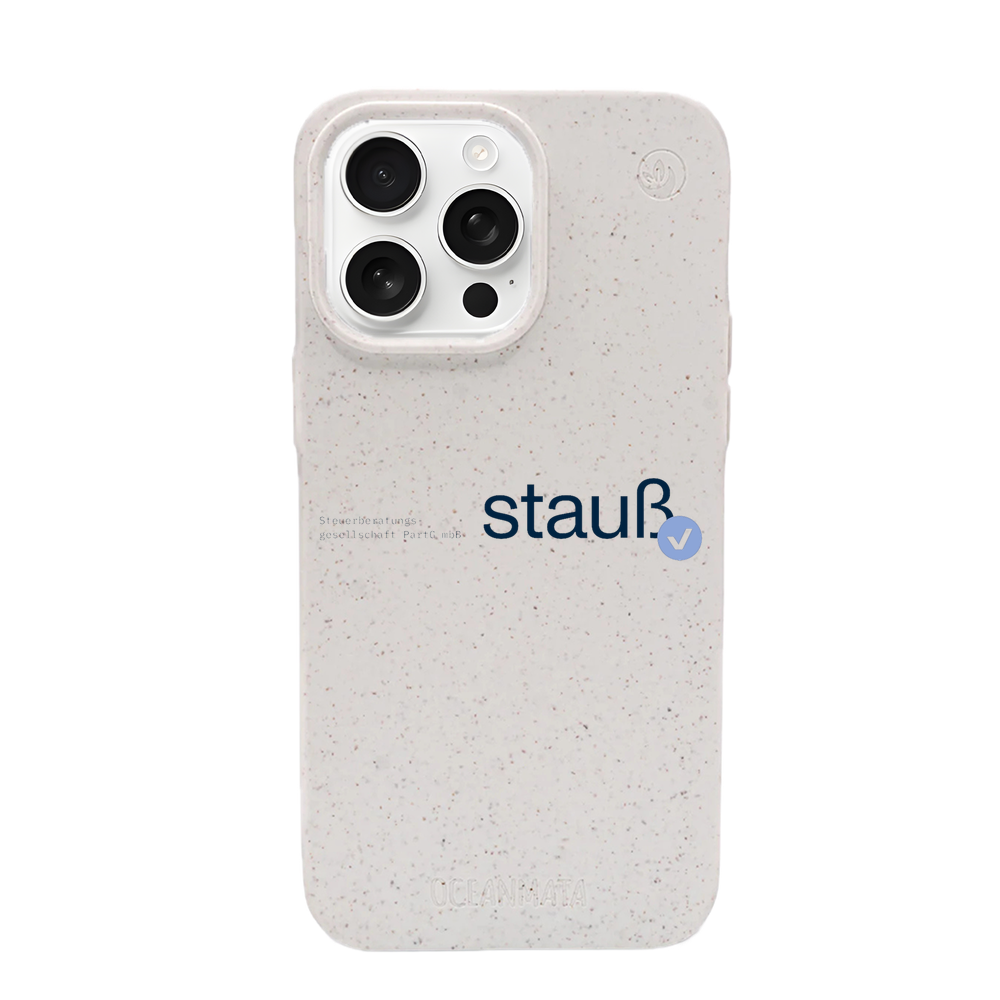 Stauß Steuerberatungsgesellschaft PartG mbB × OceanMata Case (Sample)