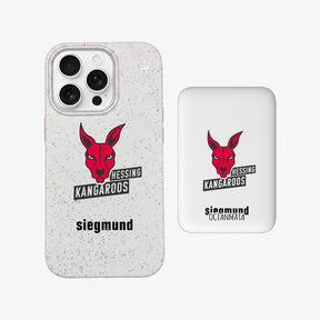 Powerbank MagSafe hessingkangaroos mit passender Hülle