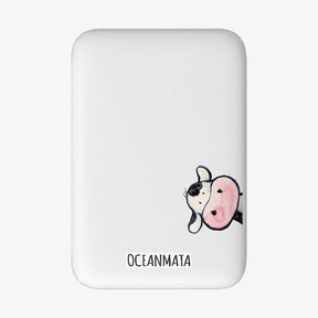 Powerbank MagSafe muh