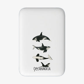 Powerbank MagSafe OrcaFamily